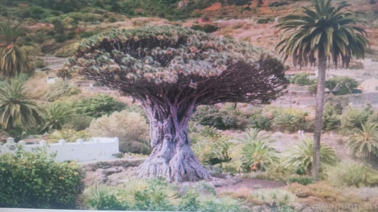 Tradicional Casa Canaria Con Piscina Y Vistas Al Teide Icod De Los Vinos Exterior foto